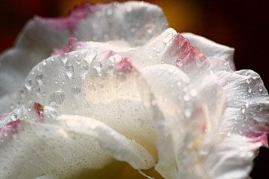 《地狱之刃2：塞娜的传奇》公布PC最低配置需求